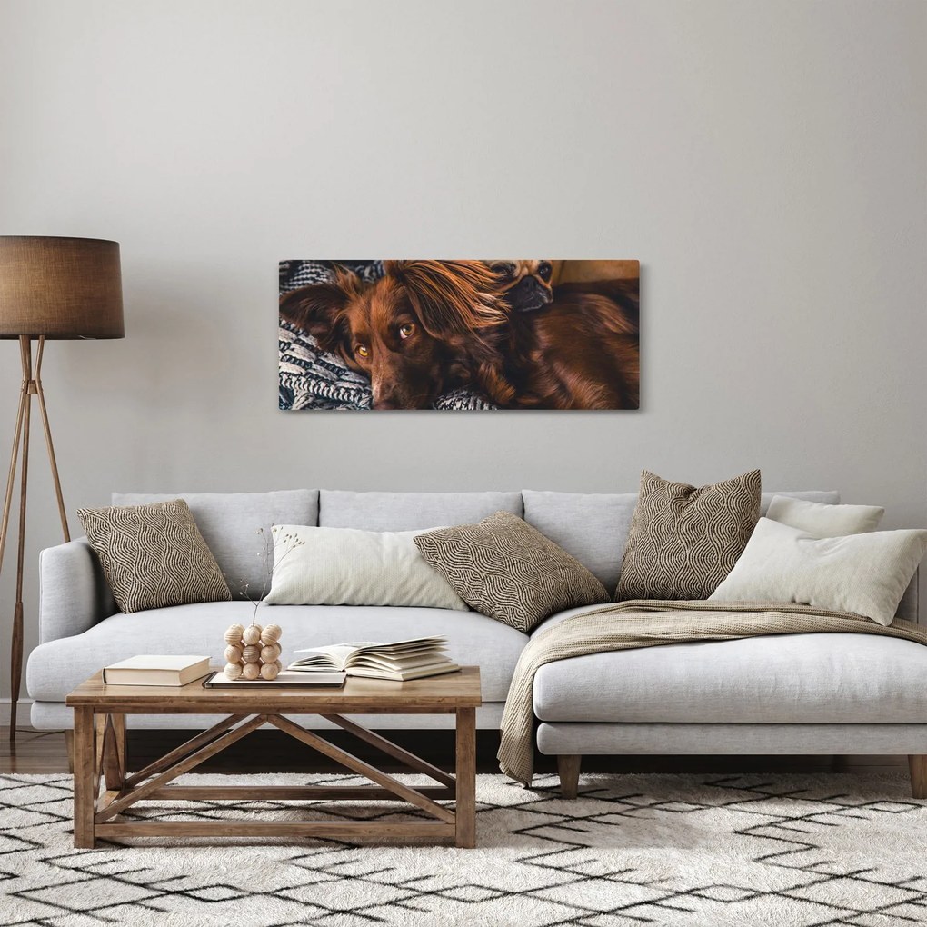 Egy kép fekvő kutyákról (120x50 cm)