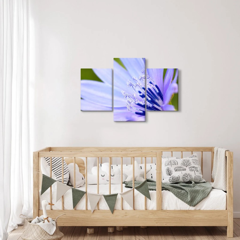 Kép - Virág (90x60 cm)