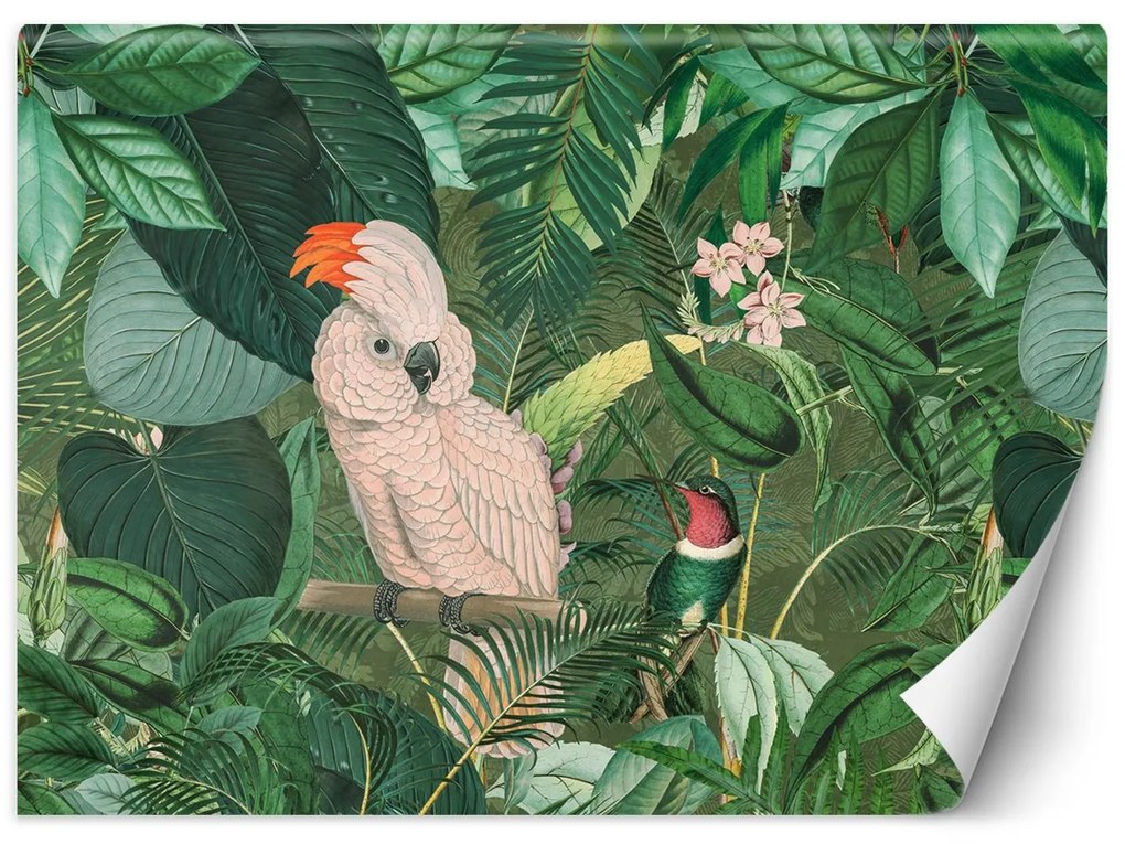 Gario Fotótapéta Papagájok a trópusokon - Andrea Haase Anyag: Vlies, Méret: 100 x 70 cm