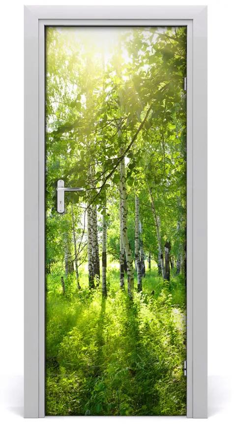Poszter tapéta ajtóra nyírfa erdő 85x205 cm