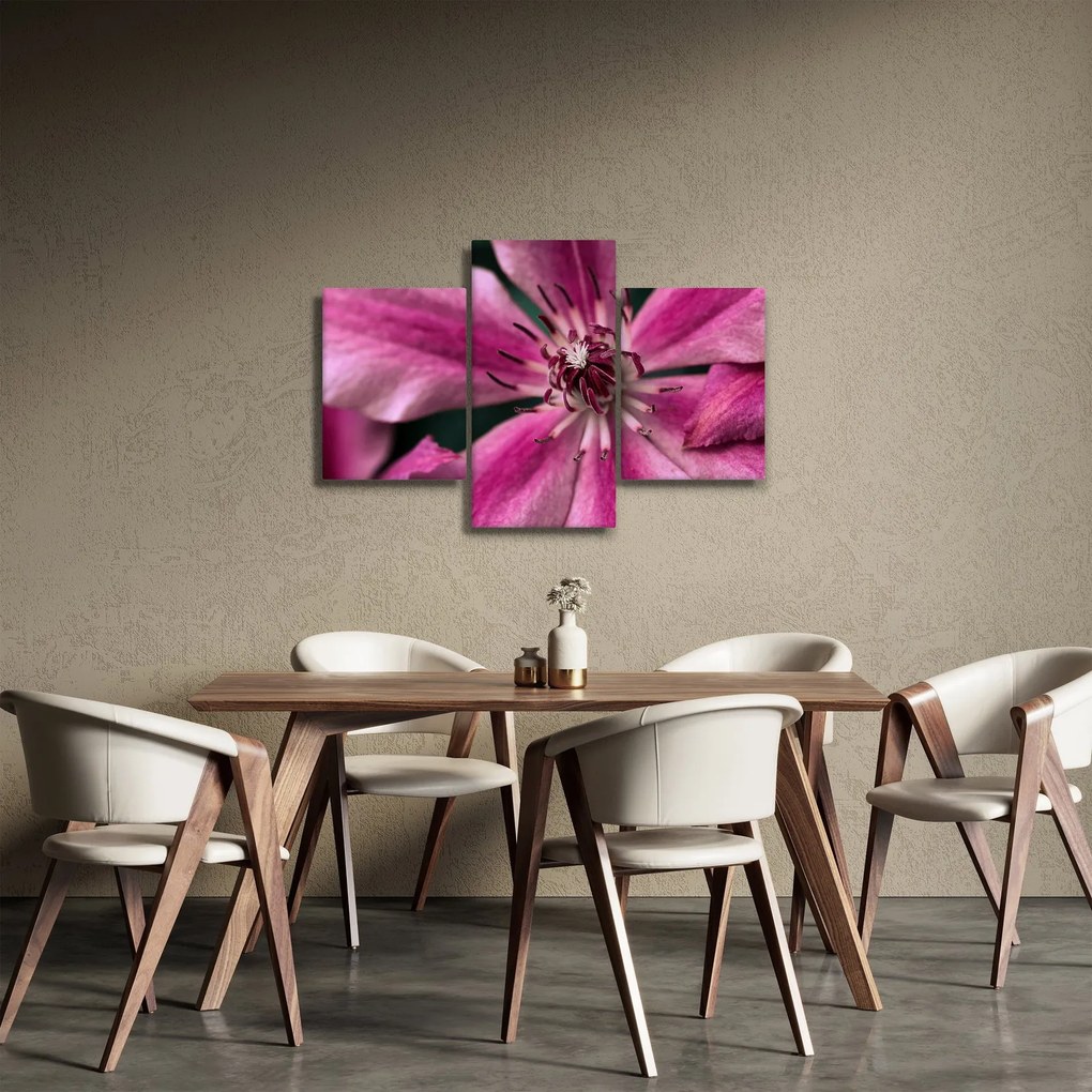Rózsaszín flamingóvirág képe (90x60 cm)