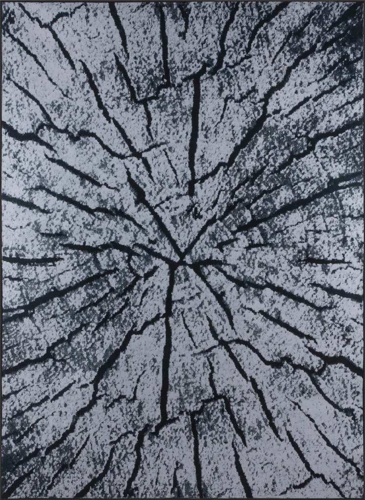 Szőnyeg 120X170 CM Szürke Hálószoba Nappali Fatörzs Természet Befőttes Üveg Bcf