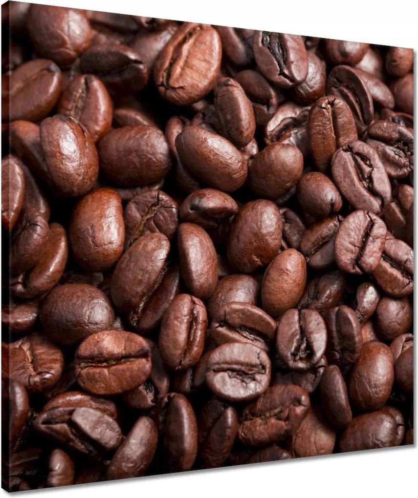 Vászonkép 50x50 Kávébab