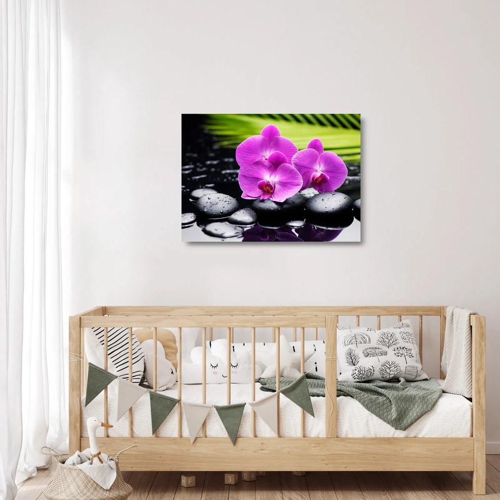 Üveg kép - Orchideák (70x50 cm)