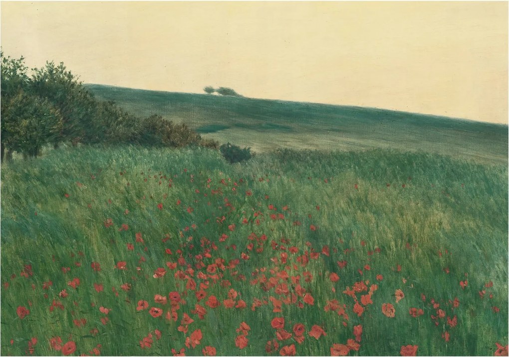 Dekoratív Fotótapéta Hálószobába Pipacs mezők 208x146 Ragasztó