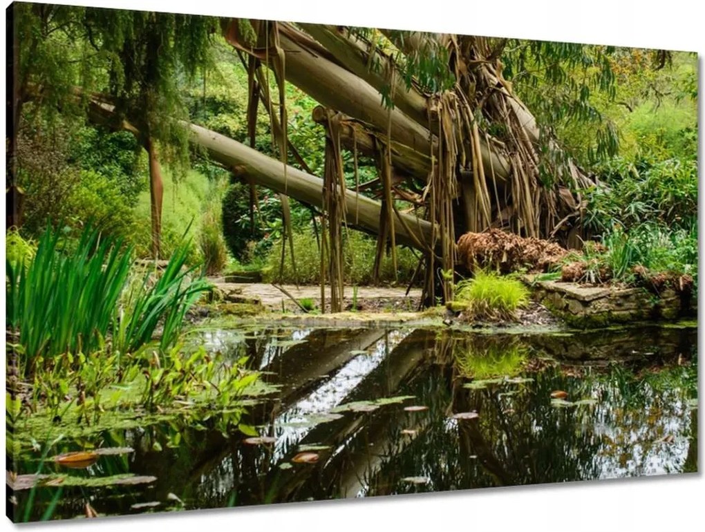 Vászonkép 90x60 Tájkép Látvány