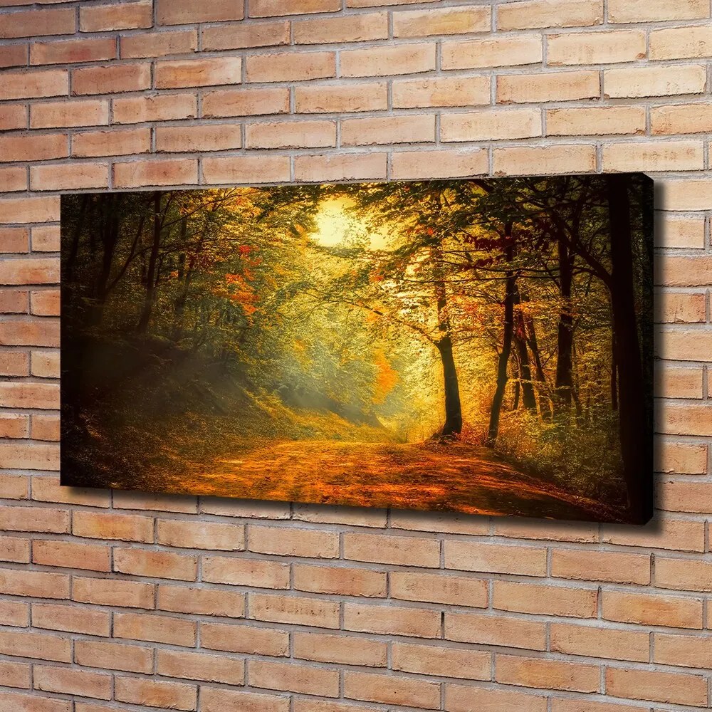 Vászon nyomtatás Erdő ősszel pl-oc-120x60-f-60738927