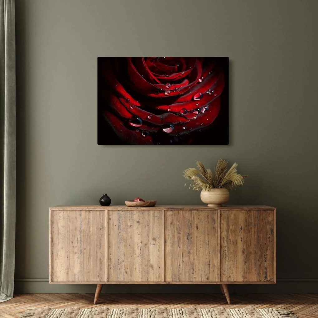 Kép - Rózsa részlete (90x60 cm)