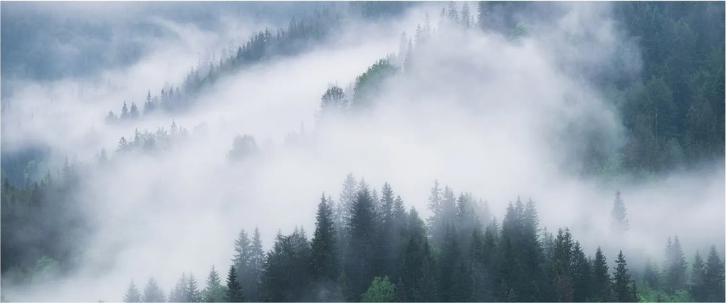 Kép - Fák a ködben (120x50 cm)