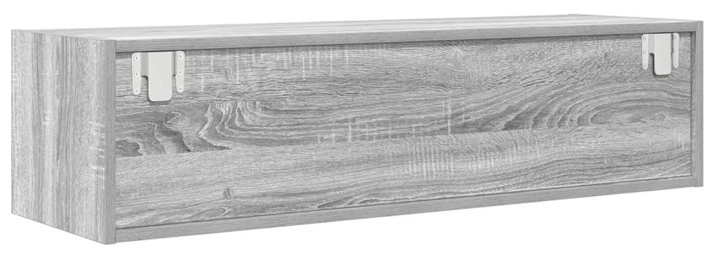 TV Szekrény Szürke Sonoma 100x31x25,5 cm Szerelt Fa