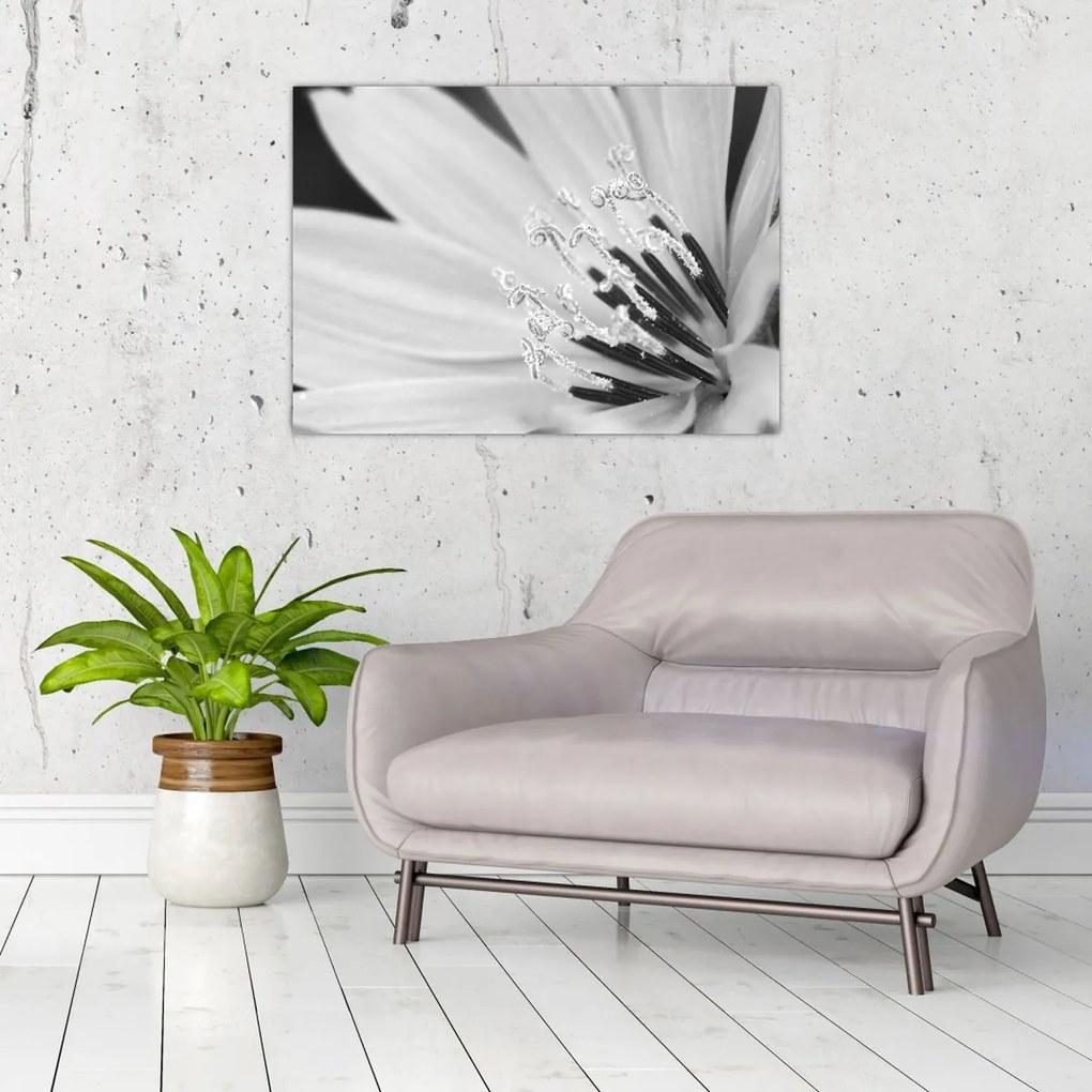 Üveg kép - Fekete-fehér virág (70x50 cm)
