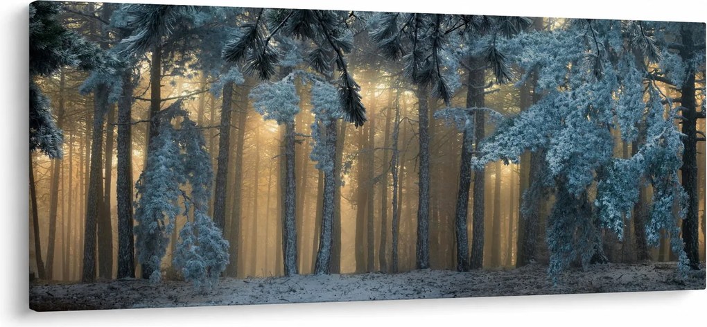 A havas erdő képe (120x50 cm)