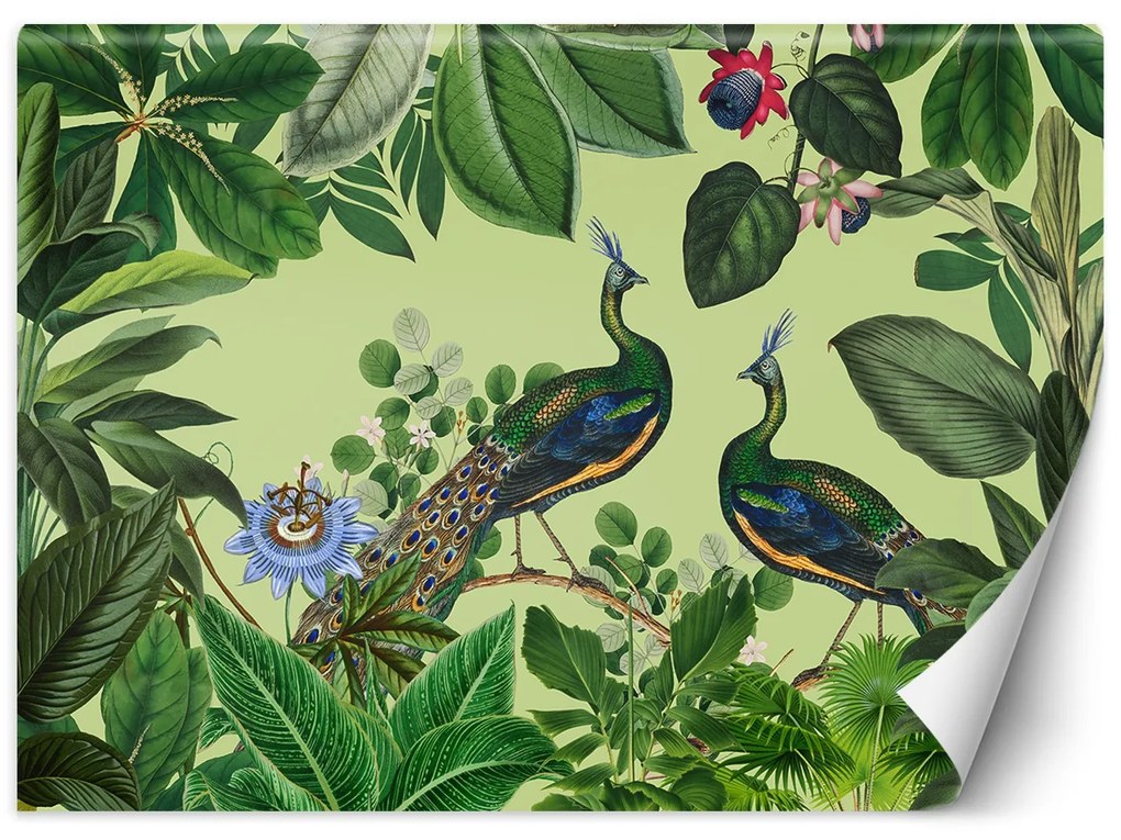 Gario Fotótapéta Pávak a trópusi parkban - Andrea Haase Anyag: Vlies, Méret: 450 x 315 cm