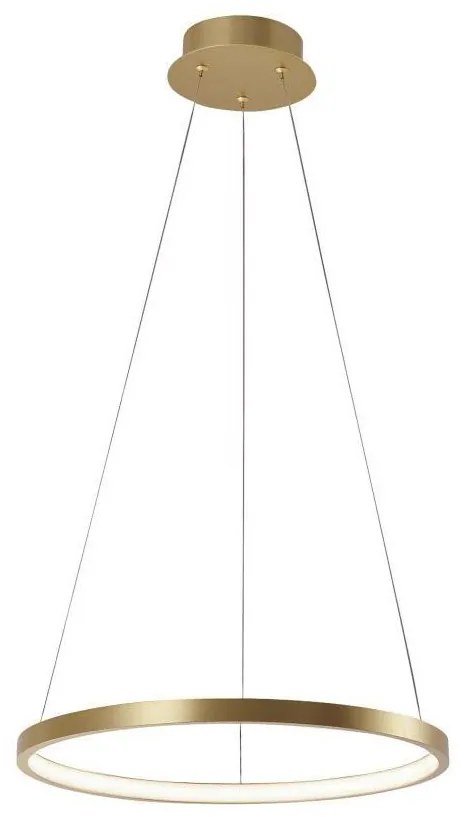 Leuchten Direkt 11522-12 - LED Csillár zsinóron CIRCLE LED/19W/230V