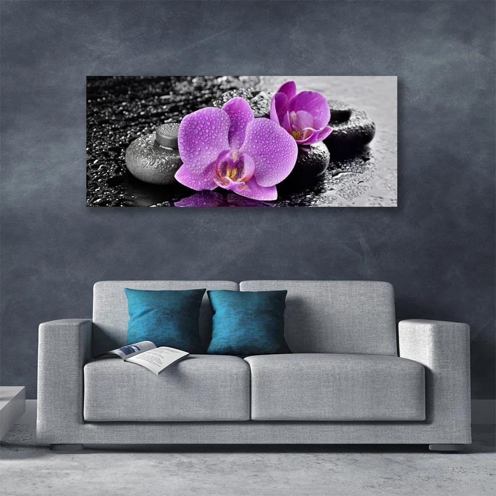 Vászonkép Orchidea virágok orchidea Spa 100x50 cm