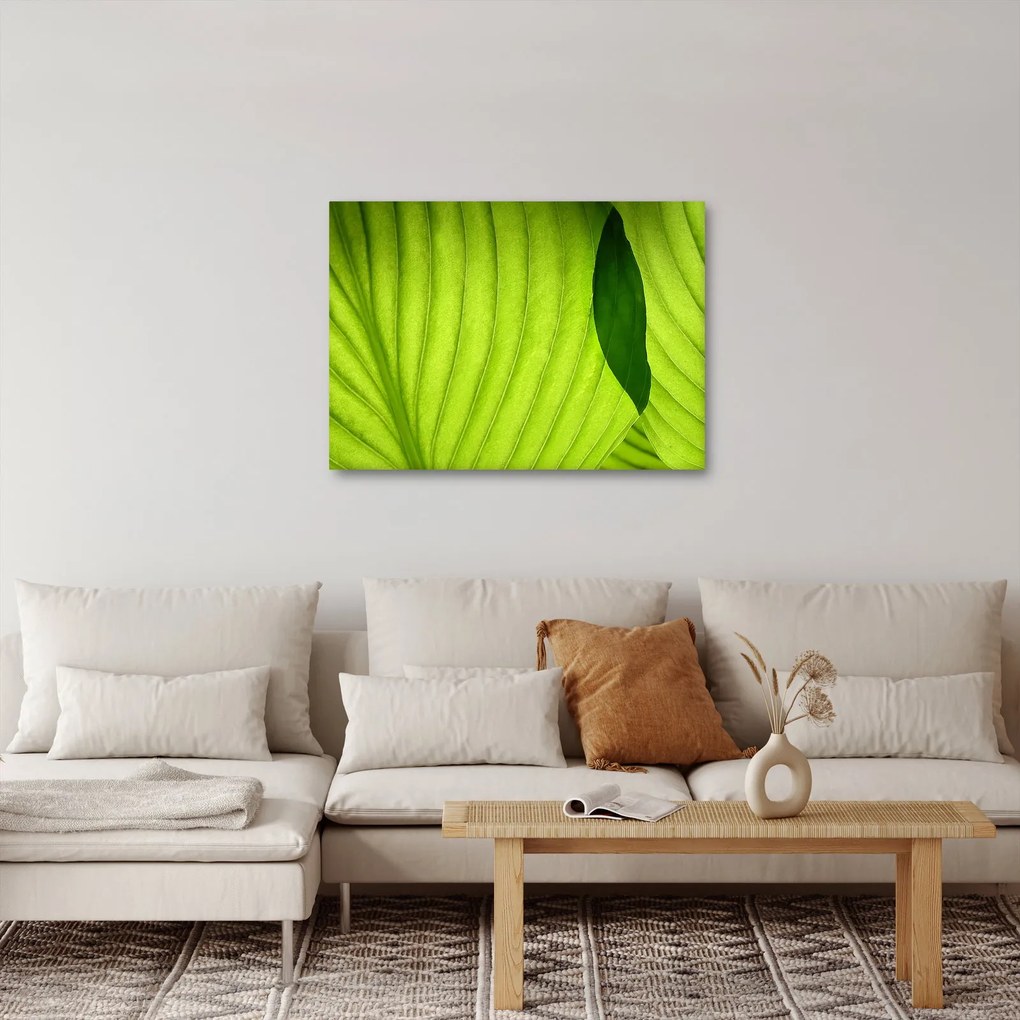 Kép - Zöld levél részlete (70x50 cm)