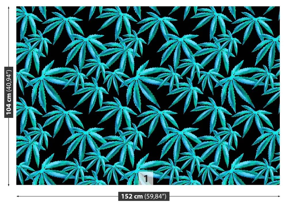 Fotótapéta cannabis levél 104x70 cm