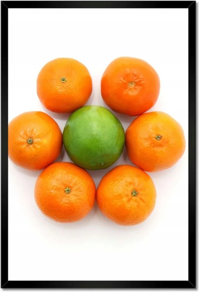 Poszterek keretben 40x60 Mandarin kompozíció