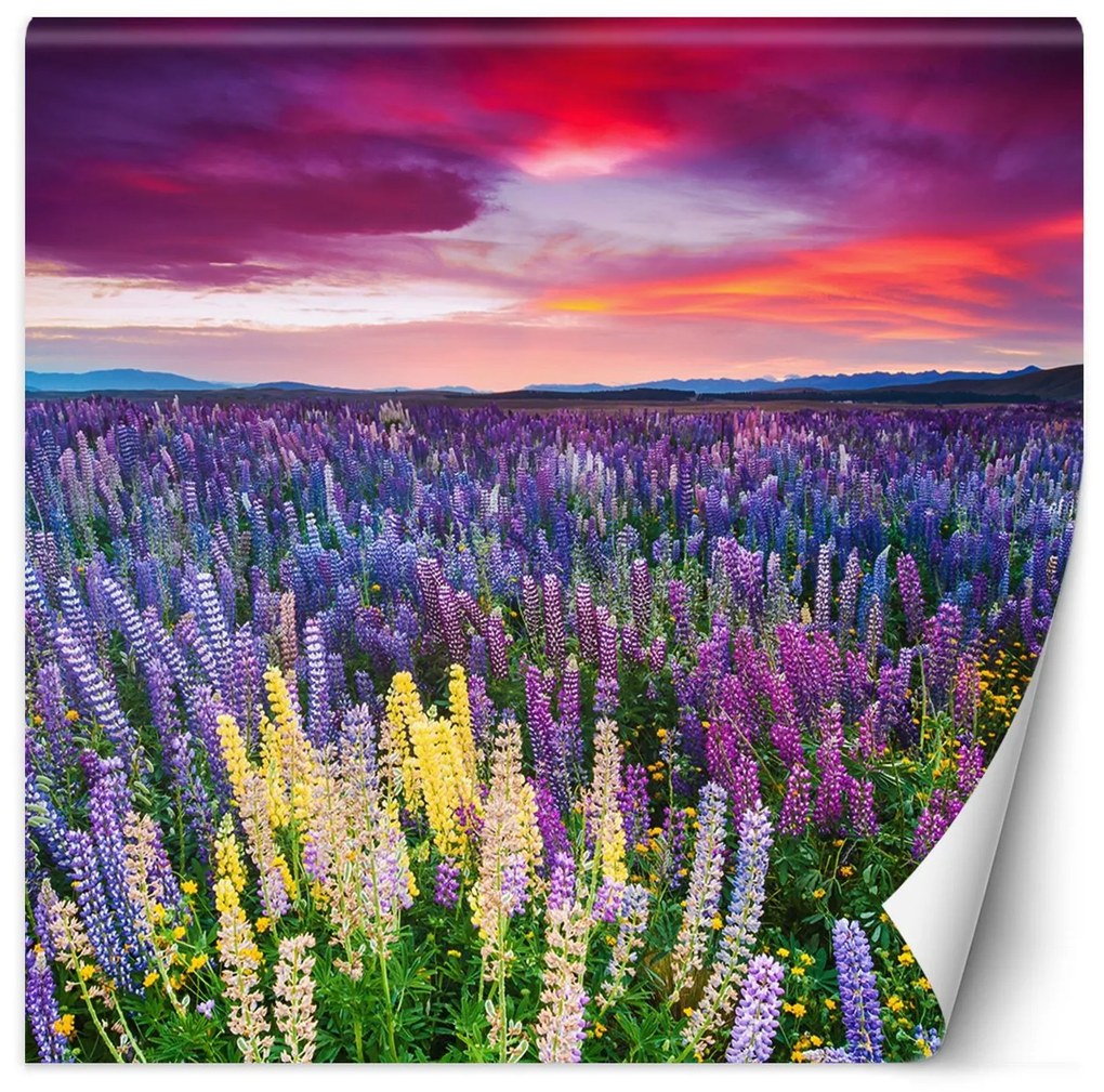 Gario Fotótapéta Heather, virágok a réten Anyag: Vlies, Méret: 300 x 300 cm