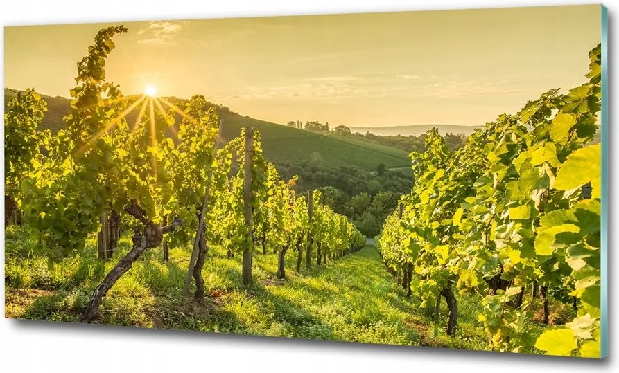 Fotótapéta üvegfalra Kék lagúna 125x50