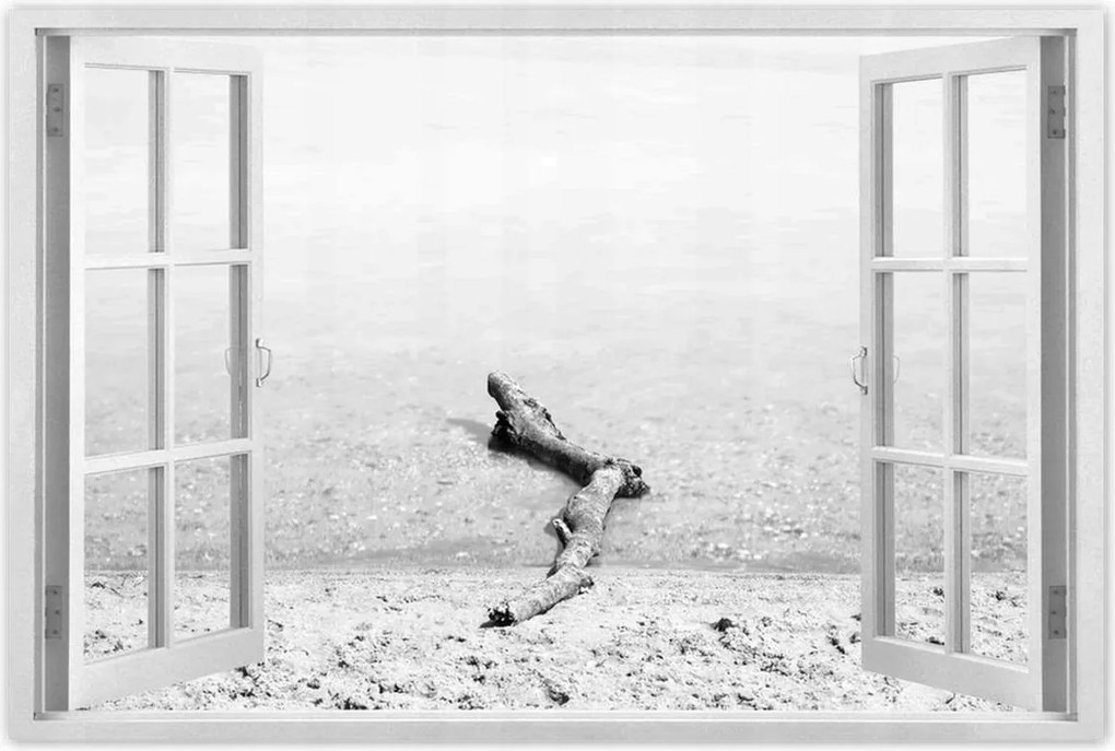 Poszterek 120x80 Gyökér tengerpart Gyökér víz