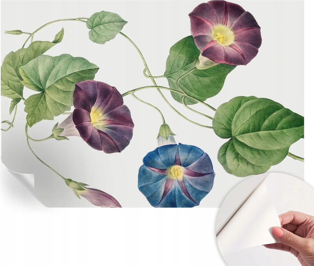 Fali fotótapéta Hálószoba Nappali Virágos elegancia 152x104 cm