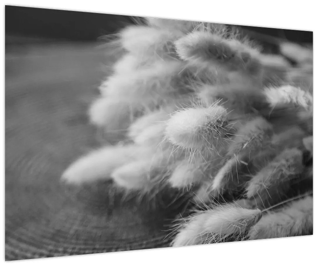 Kép - nyúlfarknyi fű az asztalon (90x60 cm)