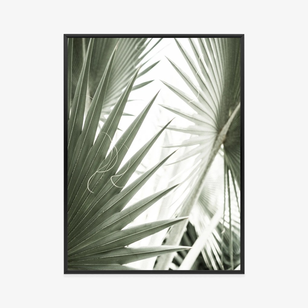 Palm Leaf poszter - 50x70 cm, Fa natur keret
