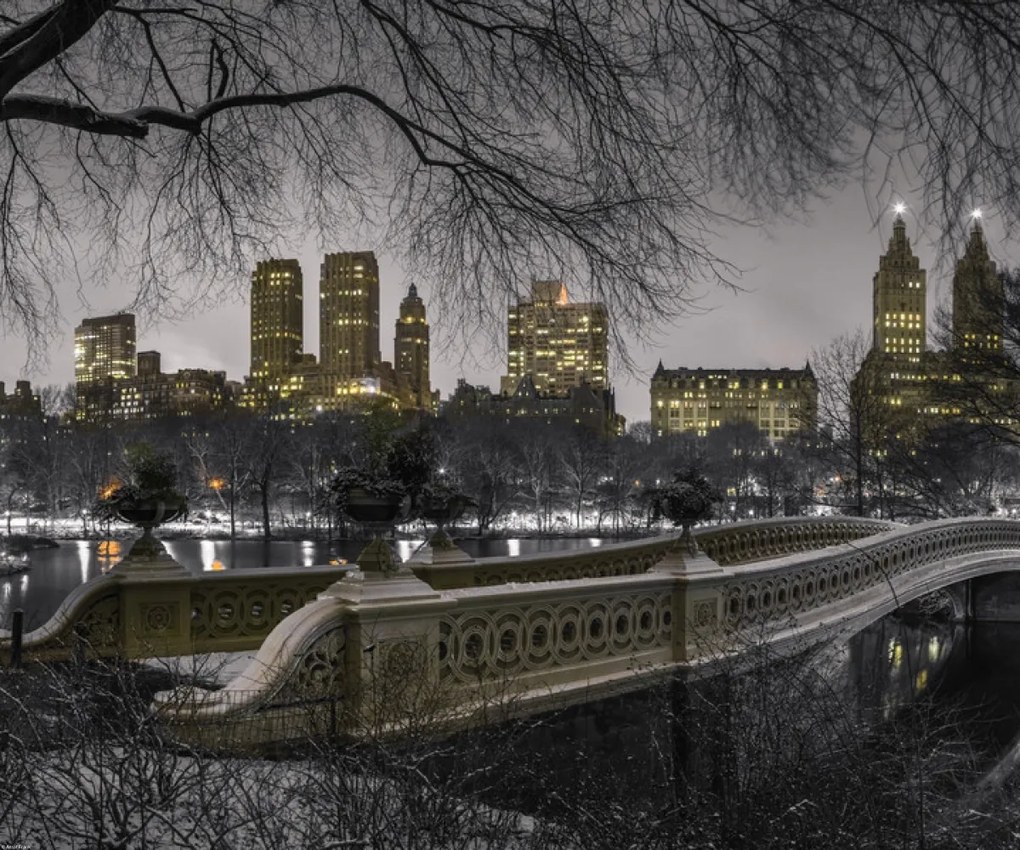 Poszter 60x50cm Központi park Manhattan panorámával, Assaf Frank