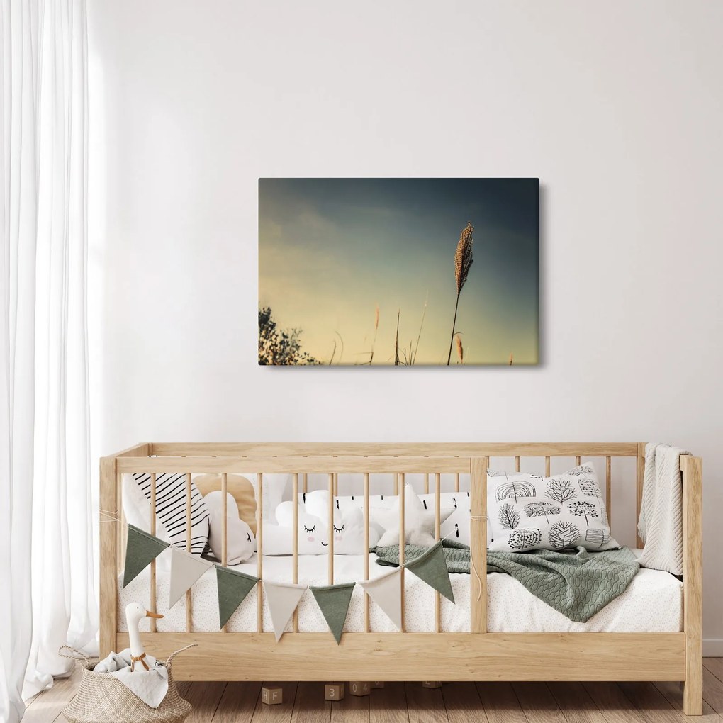 A fű képe (90x60 cm)