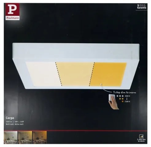Paulmann 79801 - LED/13W Mennyezeti lámpa CARPO 230V 2300/2500/3000K