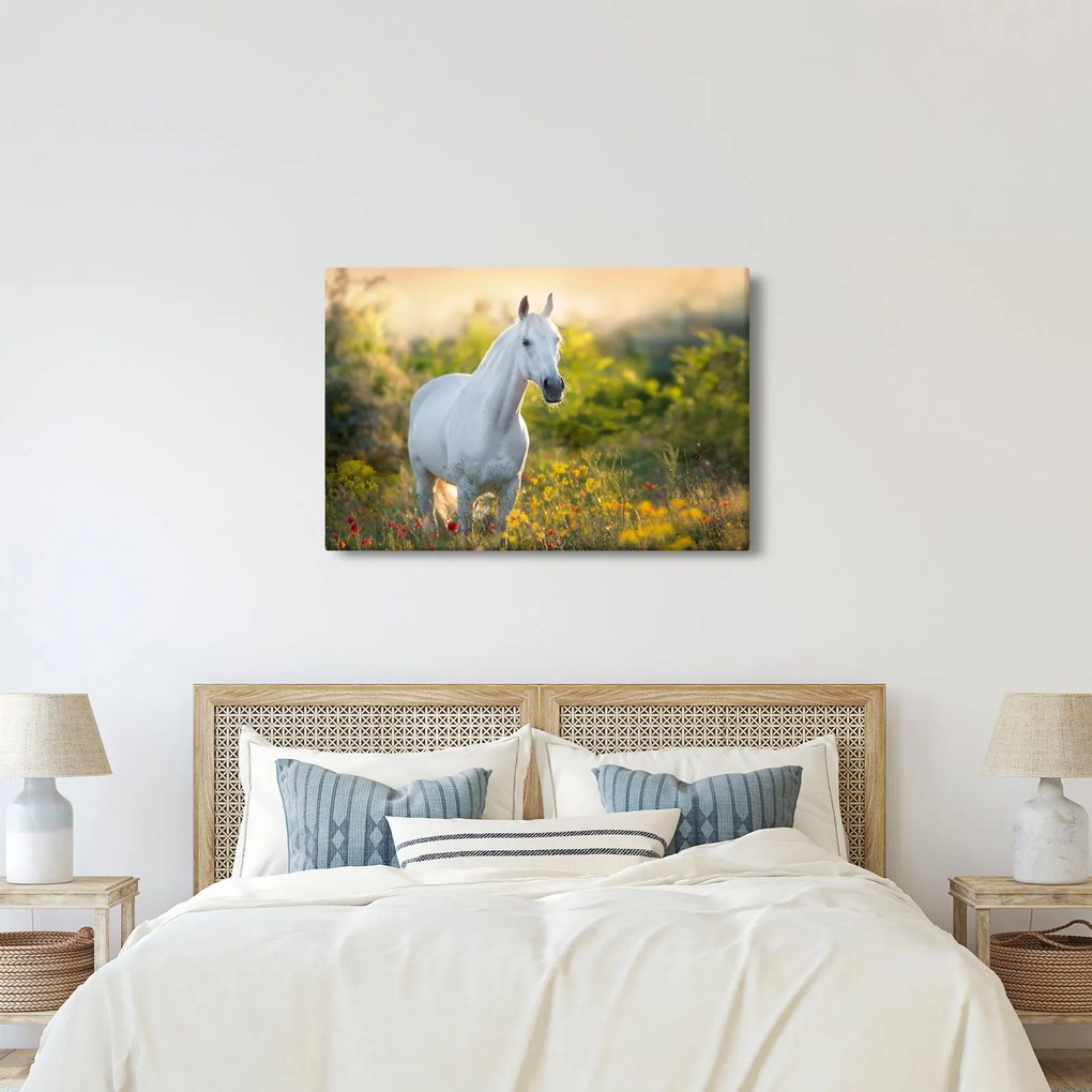 Egy fehér ló képe a réten (90x60 cm)
