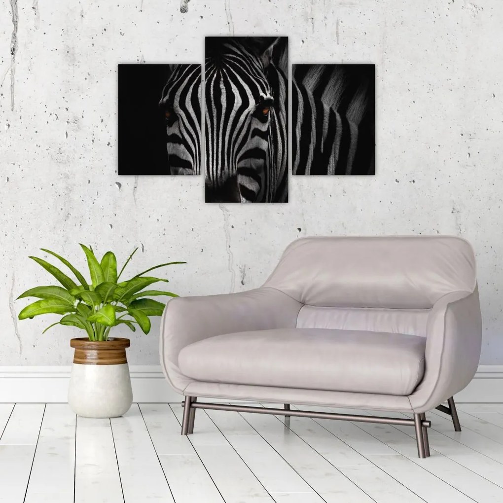 Zebra képe (90x60 cm)