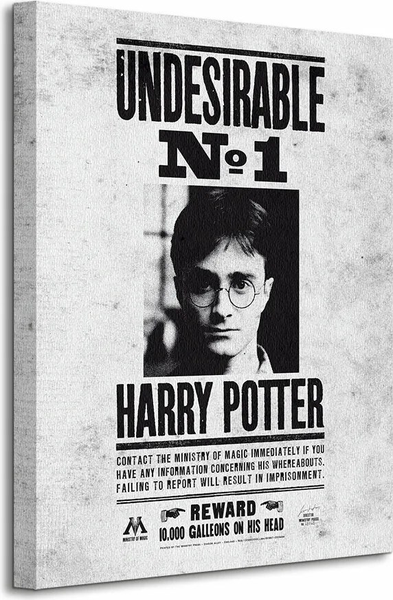 Harry Pottert keresik Vászonkép 40x50