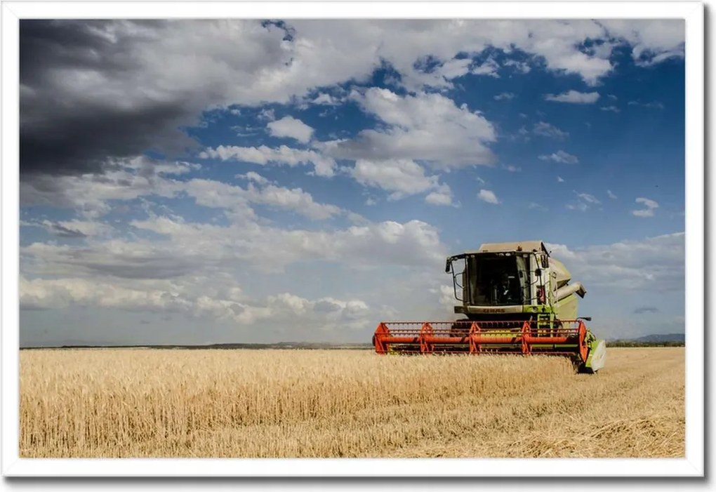 Poszterek keretben 60x40 Kombájn az aratás során