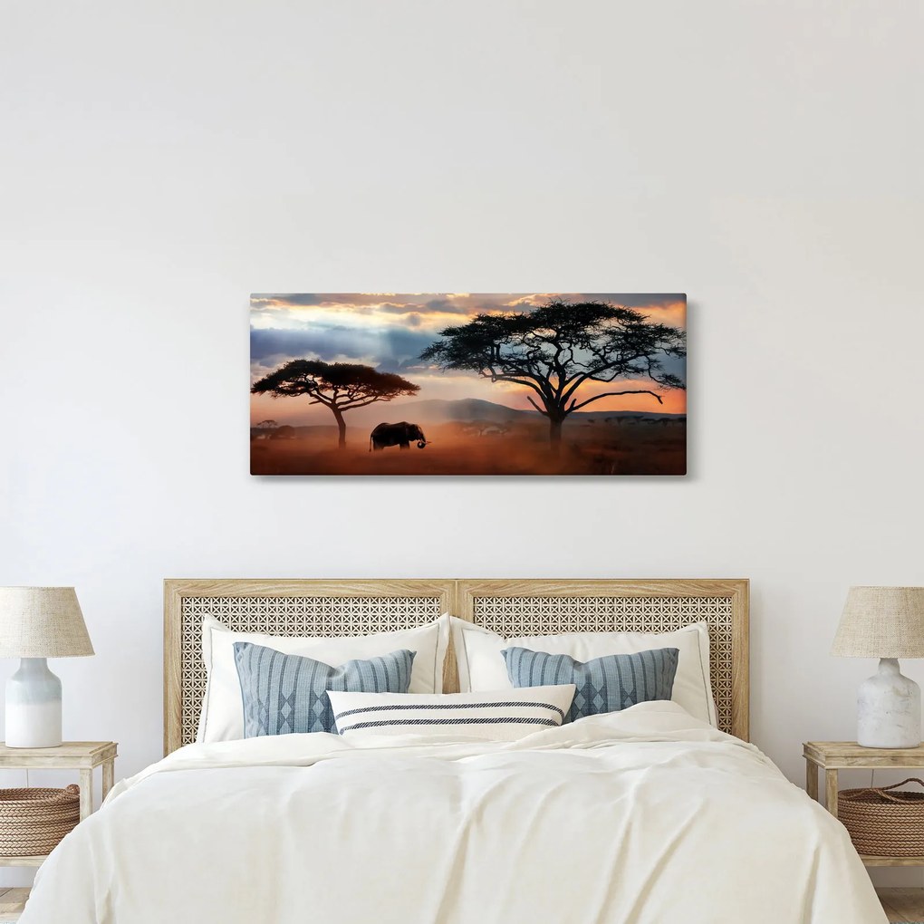 Kép - Serengeti Nemzeti Park, Tanzánia, Afrika (120x50 cm)