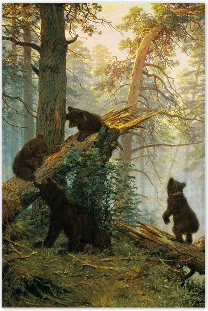 Poszterek 60x90 Reggel a fenyőerdőben