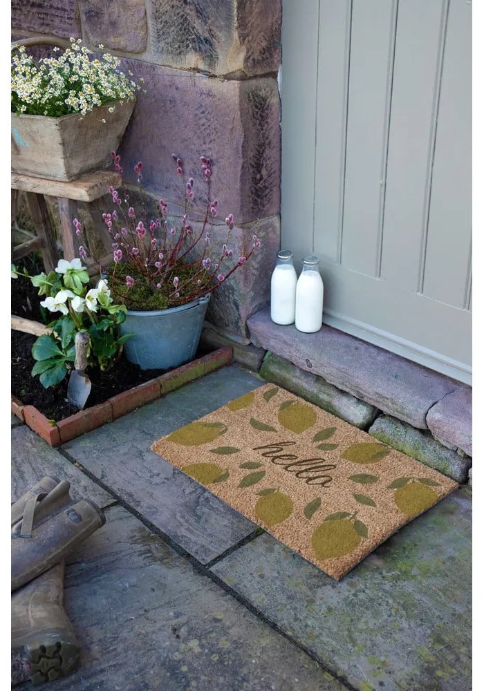 Kókuszrost lábtörlő 40x60 cm Hello Lemons – Artsy Doormats