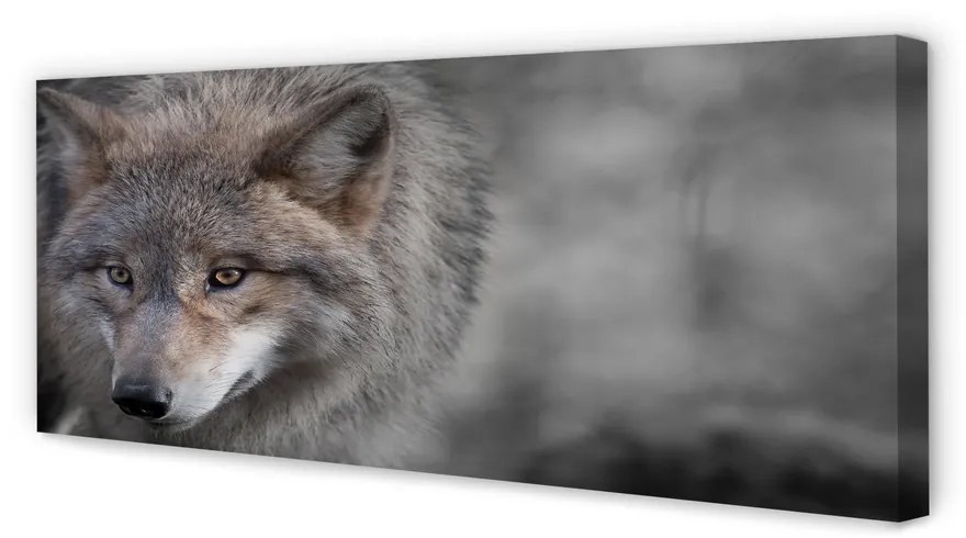 Canvas képek Farkas 125x50 cm