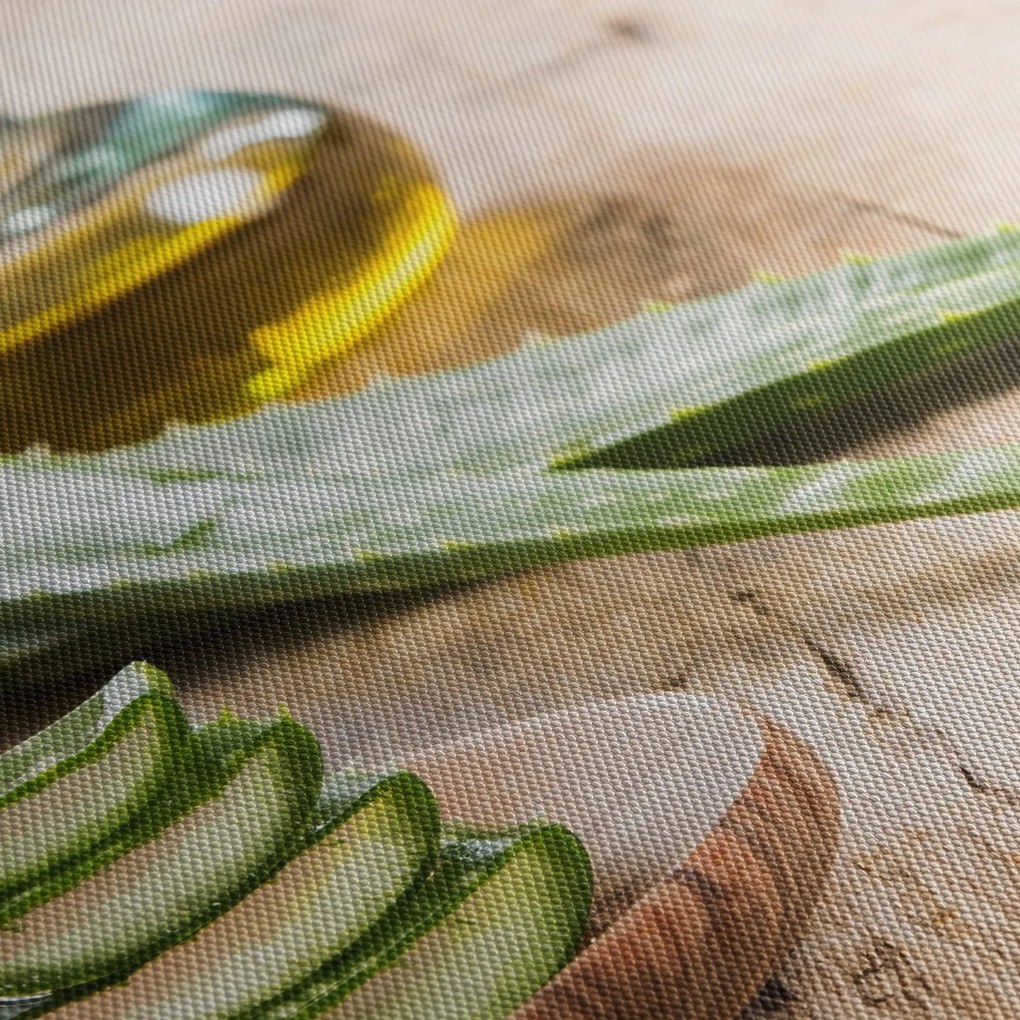 Kép - Aloe vera (120x50 cm)