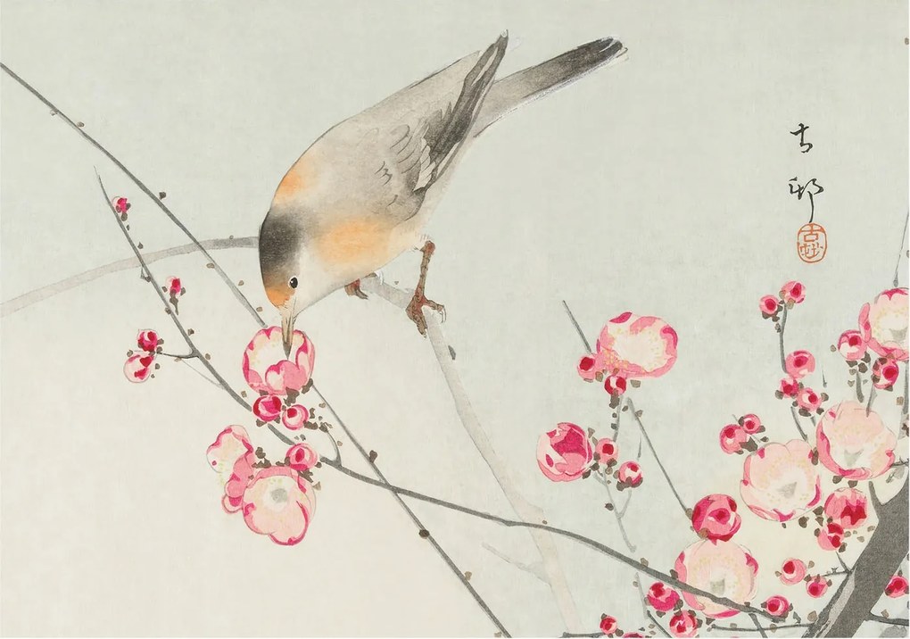 Fotótapéta Flizelin Hálószoba és Nappali Tapéta Virágos madár 208x146