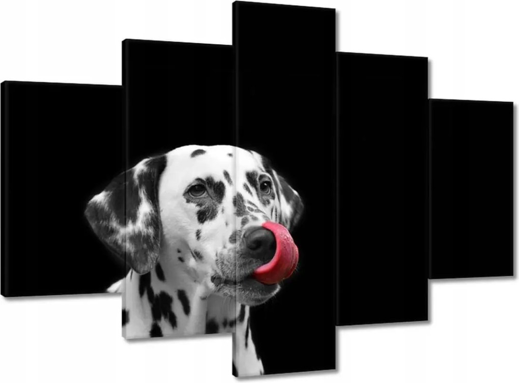 Festmények 150x105 Mindenre kidobva