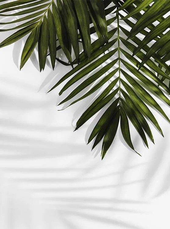 Fotótapéta 190x254 tapéta flizelin levél #F154 #sf