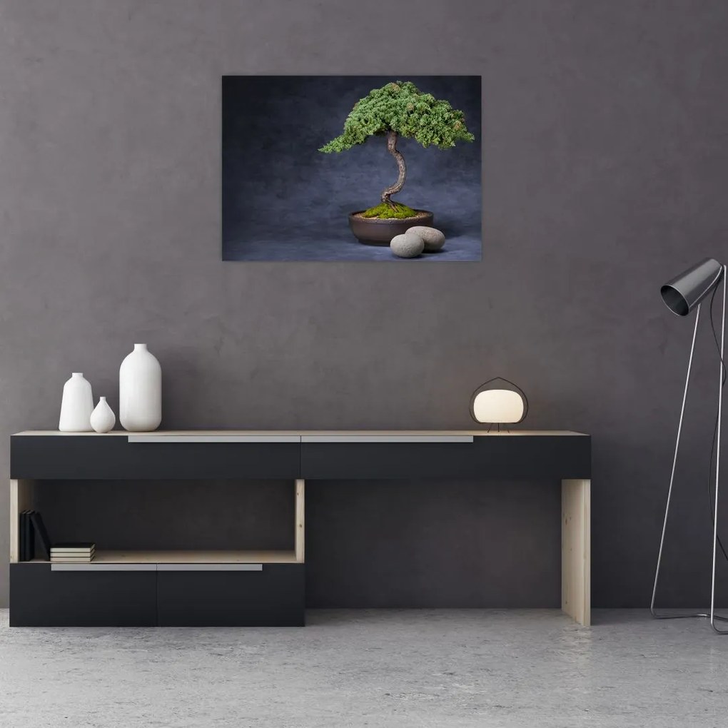 Kép - Bonsai (70x50 cm)