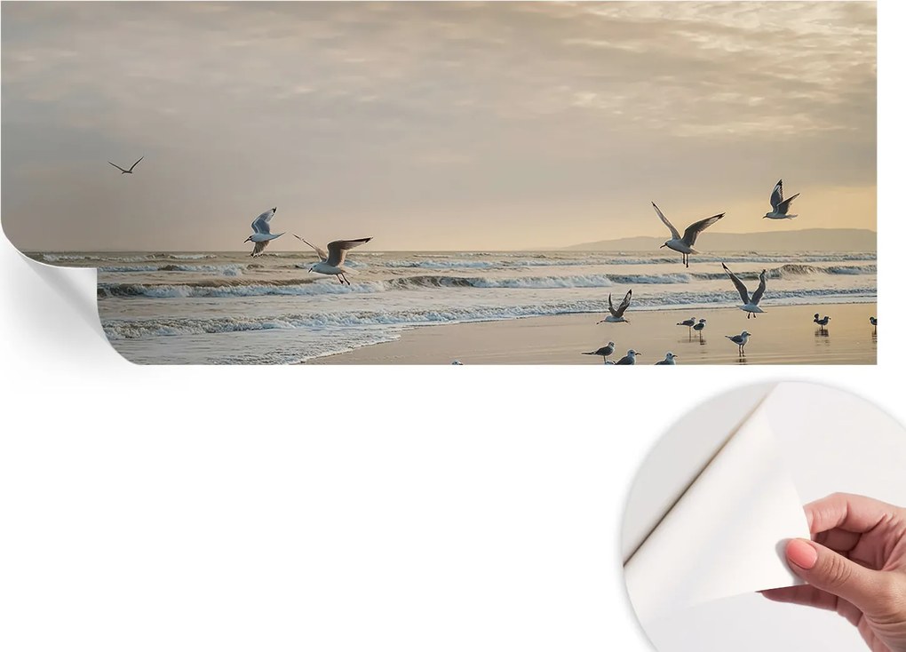 Modern öntapadós fali fotótapéta Tengerparti nyugalom 250x104 cm