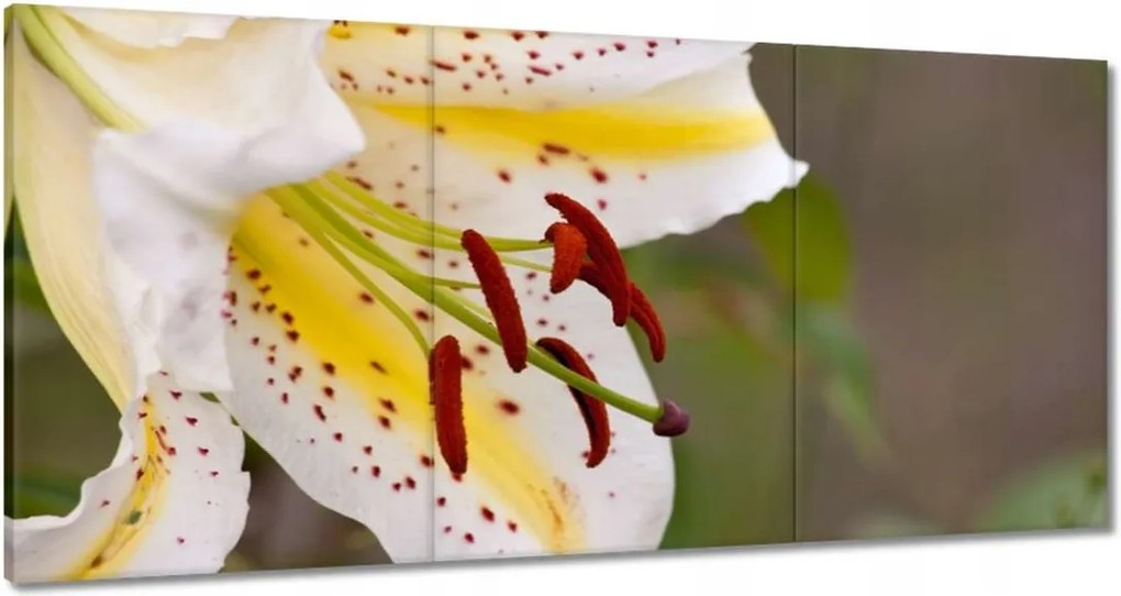 Képek 180x90 Nőnap Love