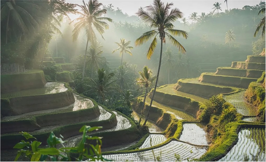 Flizelin tapéta falra Prémium paradicsom teraszok 416x254