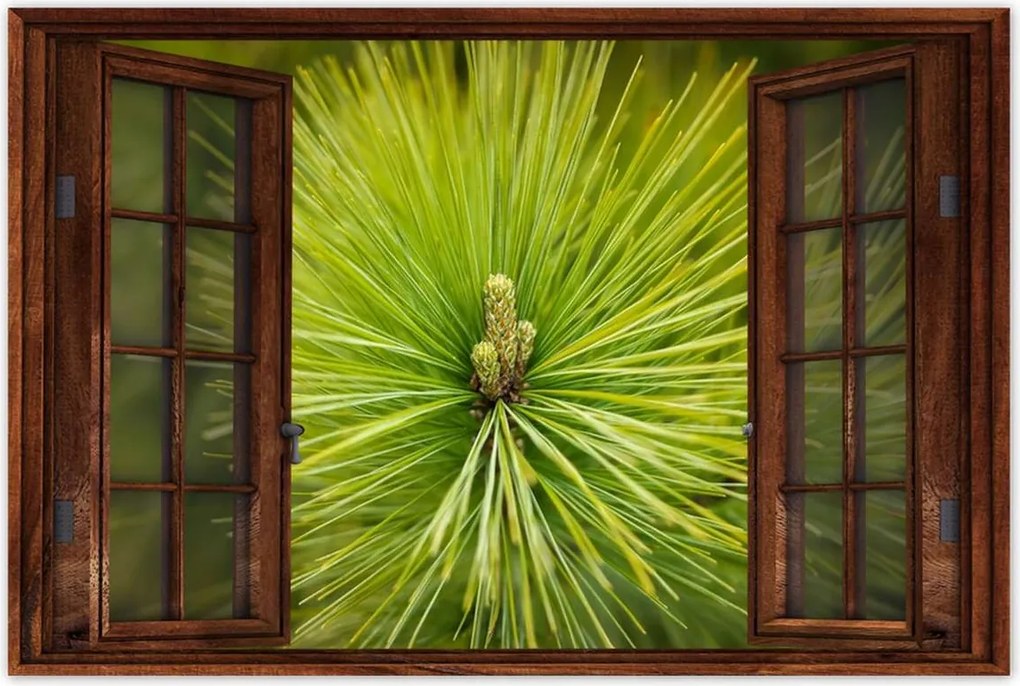 Poszterek 120x80 Ág