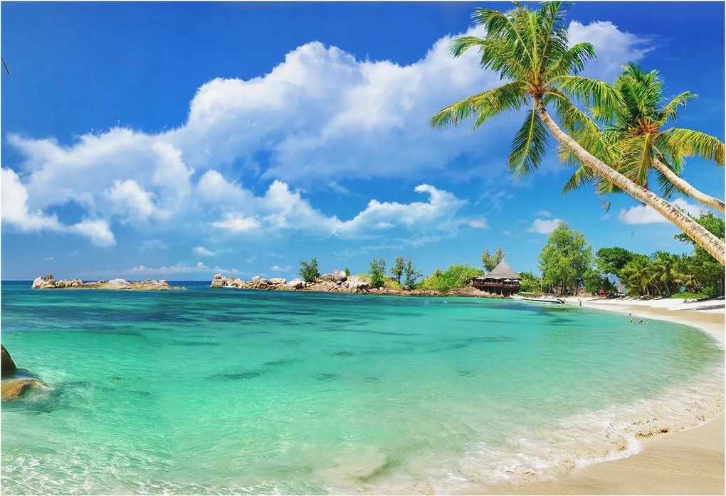 Fotótapéta Flizelina Nappali és Hálószoba Trópusi paradicsom 152x104 Ragasztó