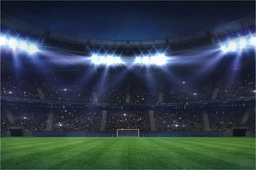 Kép - Labdarúgó stadion (90x60 cm)
